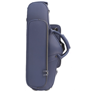 Case